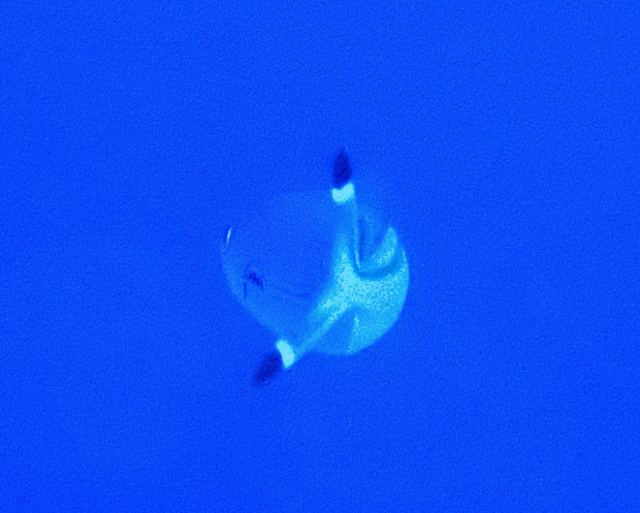 Click to View Red Sea Fusilier<br><span style='font-size:12px'><i>Dave & Rose</i></span>